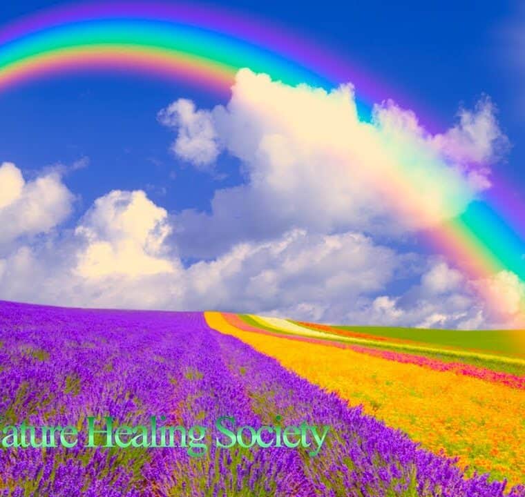 Good Morning Music - Wake Up Happy