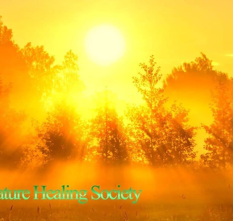 Beautiful Good Morning Music 528hz