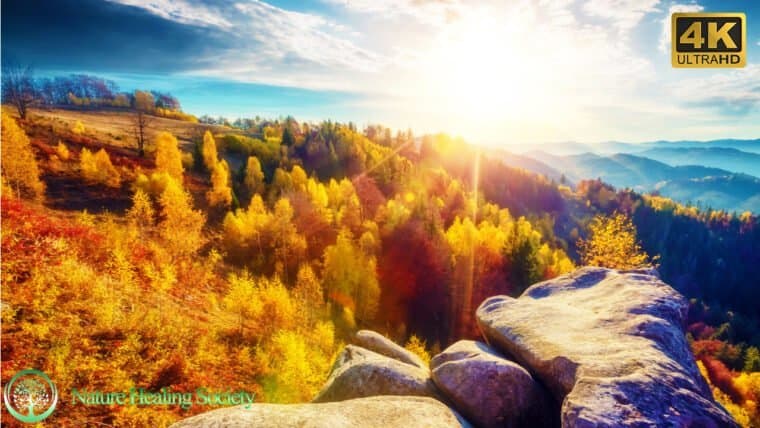 GOOD MORNING MUSIC 528Hz