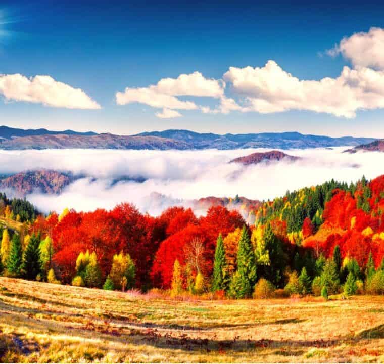 Beautiful Wake Up Music Positive Energy