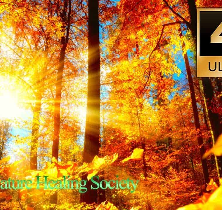 Morning Meditation Music 528 Hz - Royalty Free