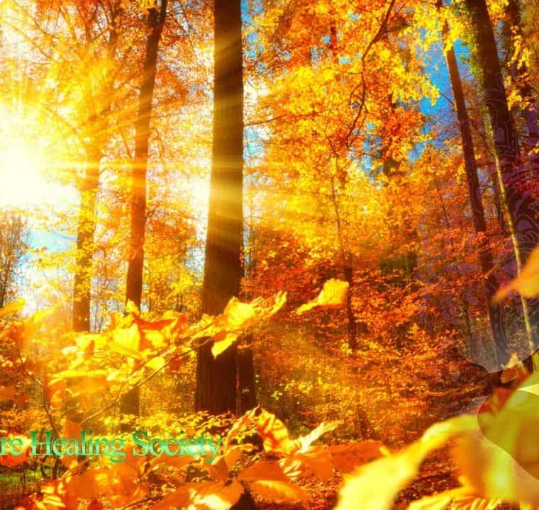 Relaxing Morning Meditation Music 528 Hz
