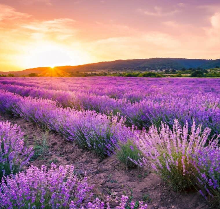 30 Royalty Free Meditation Songs