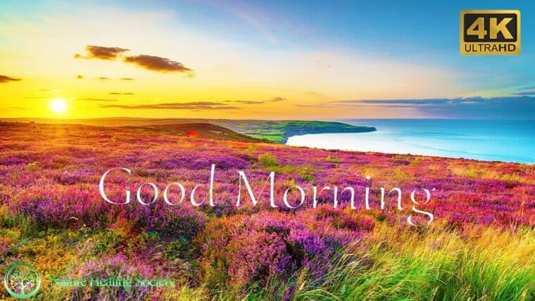 GOOD MORNING Meditation Music 528Hz