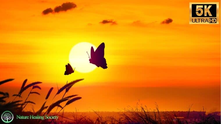 GOOD MORNING MUSIC 528Hz