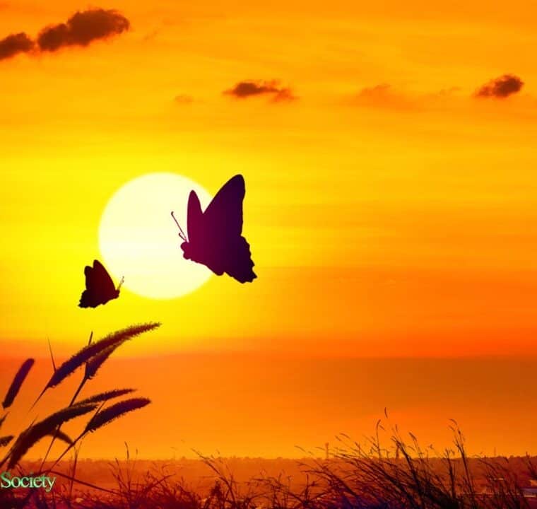 GOOD MORNING MUSIC 528Hz