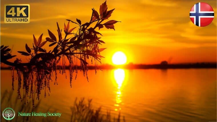 GOOD MORNING MUSIC 432Hz