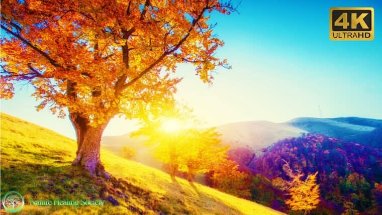 Good Morning Music 528 Hz