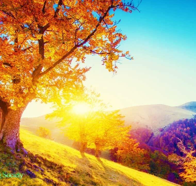 Good Morning Music 528 Hz