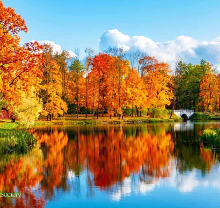 GOOD MORNING MUSIC 528Hz