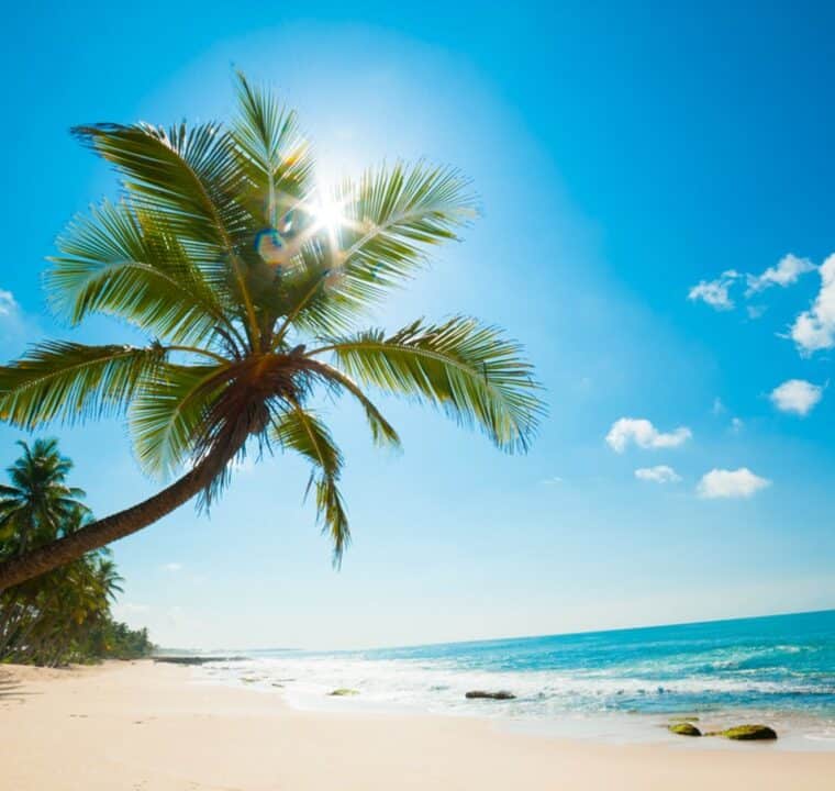 Good Morning Meditation - No Copyright