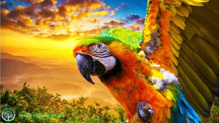 GOOD MORNING MUSIC 528Hz