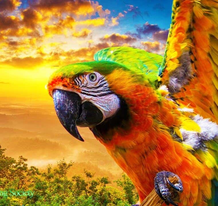 GOOD MORNING MUSIC 528Hz