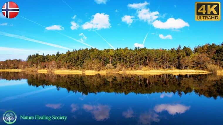 528Hz CALMING MORNING Music