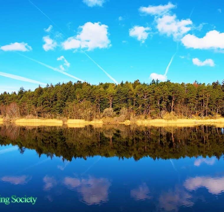528Hz CALMING MORNING Music