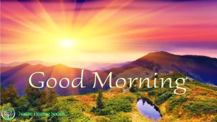 SOFT MORNING MUSIC 528Hz