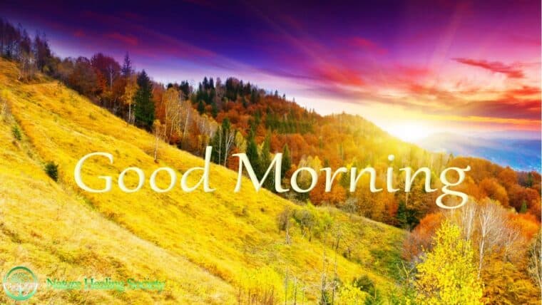 CALM MORNING MUSIC 432hz