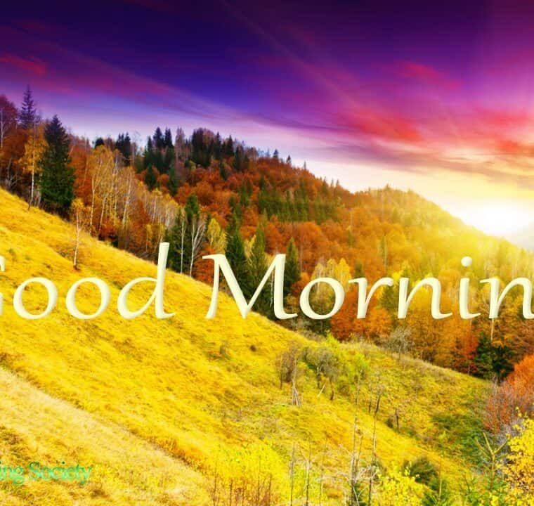 CALM MORNING MUSIC 432hz