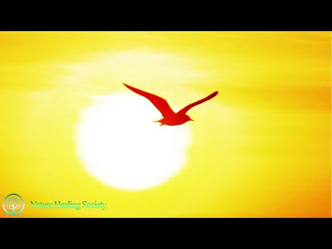 THE BEST CALM MORNING MUSIC 528Hz