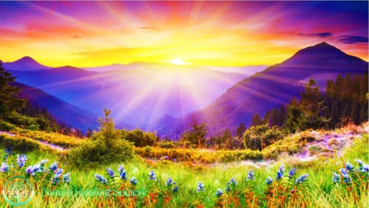 NEW FRESH Positive Healing & Uplifting Energy Morning Mediation Music