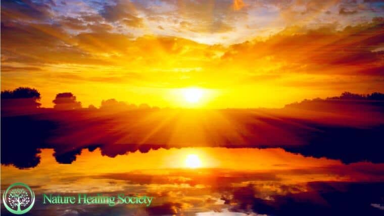 THE BEST GOOD MORNING MUSIC 528Hz