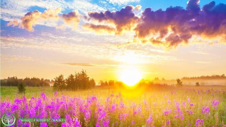 Positive Healing Soothing Energy 528Hz