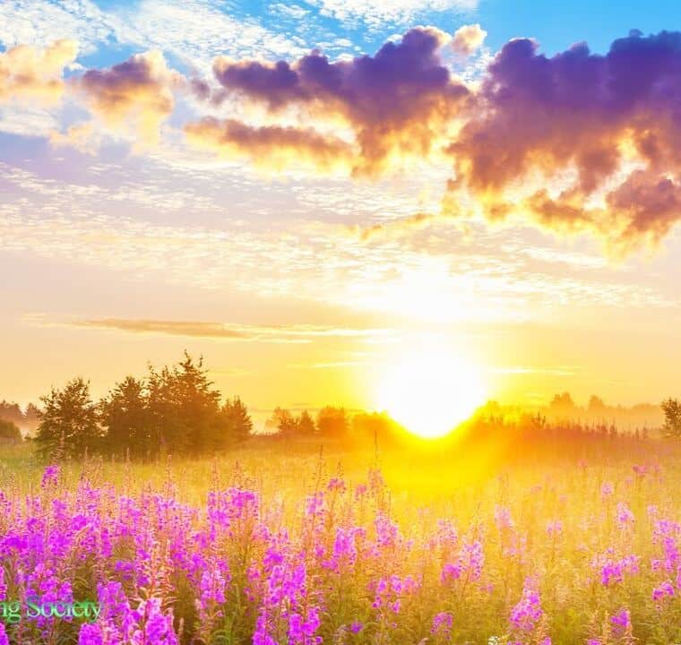 Positive Healing Soothing Energy 528Hz