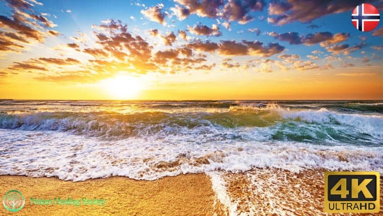 No CopyRight Meditation & Relaxing Music