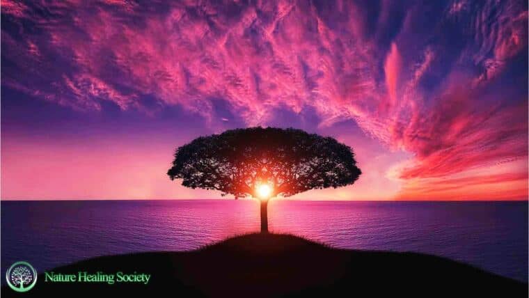 Uplifting & Relaxing Wake Up Music 528Hz