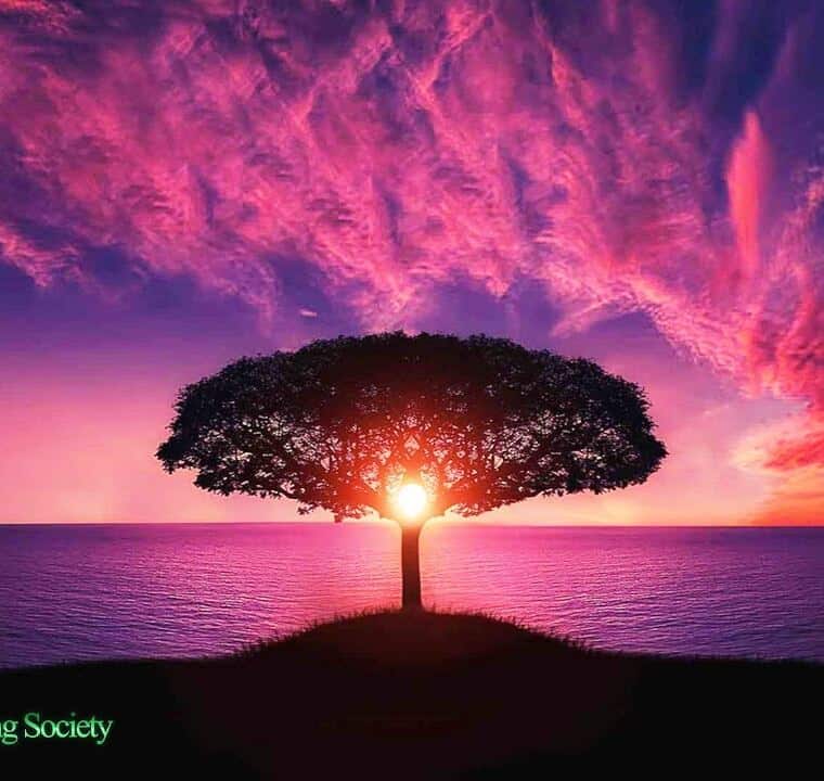 Uplifting & Relaxing Wake Up Music 528Hz