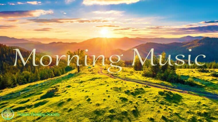 THE BEST GOOD MORNING MUSIC 528Hz