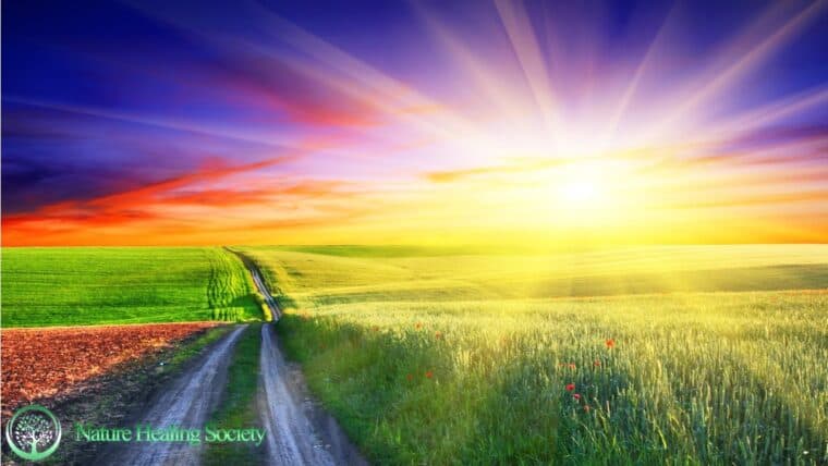 528Hz NEW FRESH Positive Energy Meditation Music