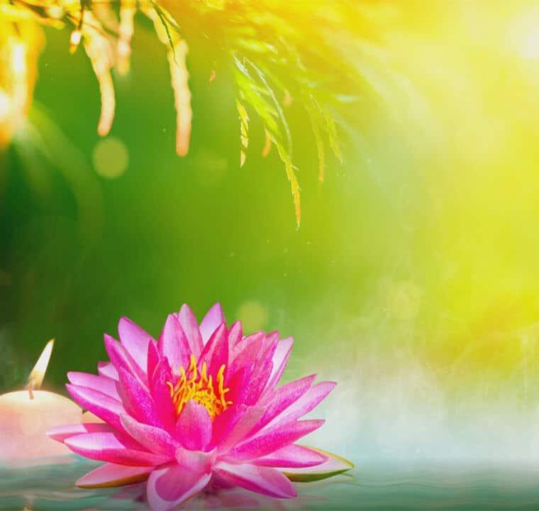 GOOD MORNING MUSIC 528Hz FRESH Energy