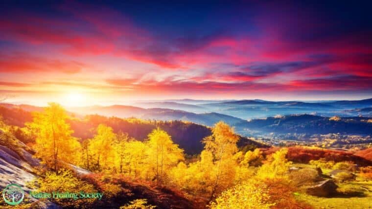 528Hz NEW FRESH Wake Up Meditation Music