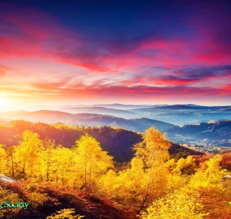528Hz NEW FRESH Wake Up Meditation Music