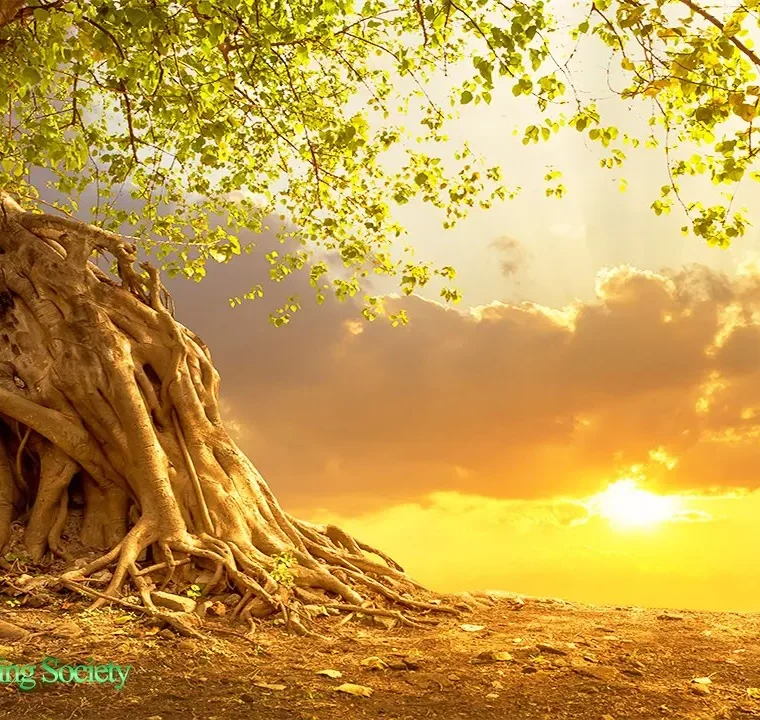 528 HZ Boost Positive Energy While Waking Up