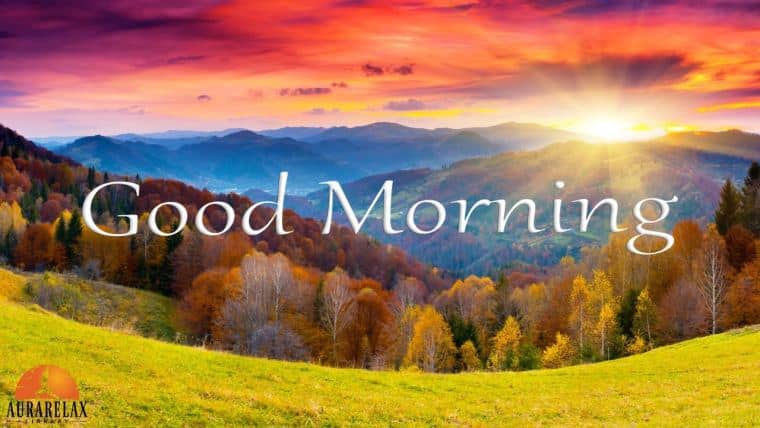 Healing 528Hz Morning Music