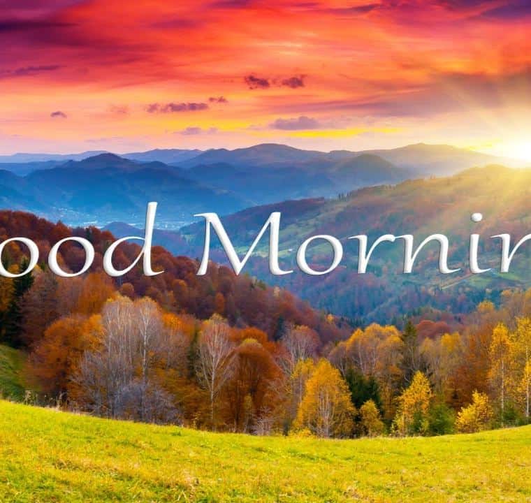 Healing 528Hz Morning Music