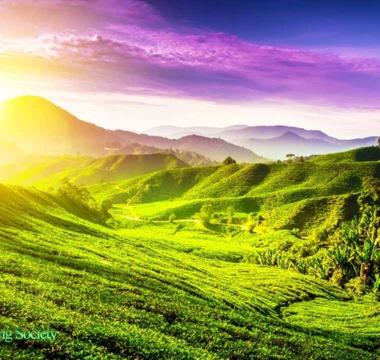 Uplifting Good Morning Music 528Hz