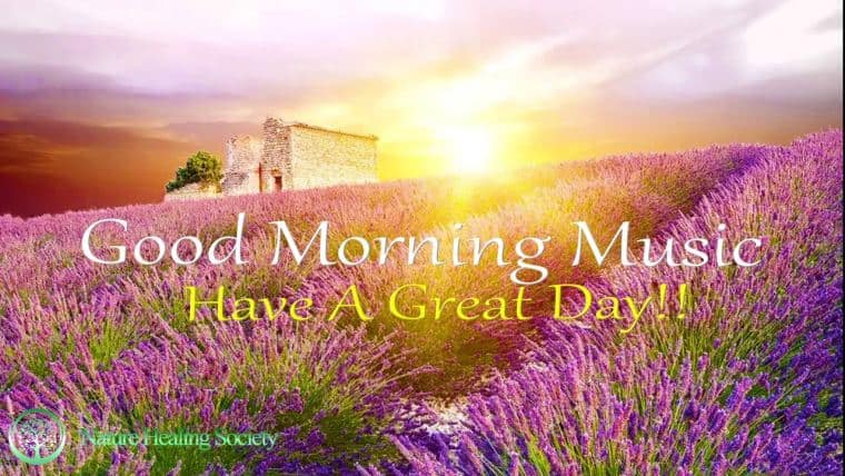 Good Morning Sunshine 528Hz