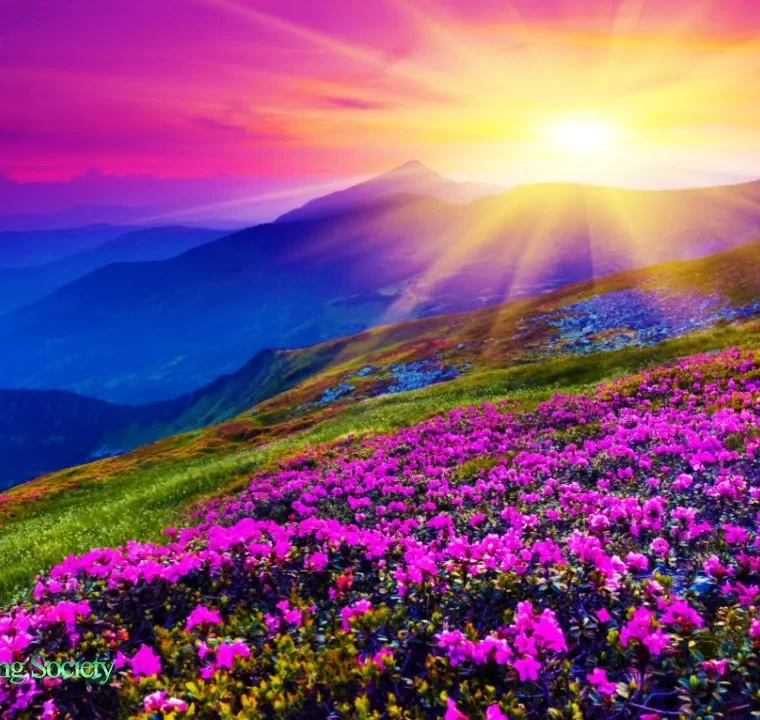 THE BEST GOOD MORNING MUSIC In 528hz