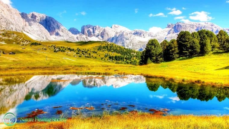 THE WORLD BEST GOOD MORNING MUSIC 528hz