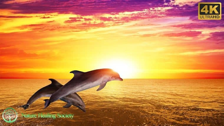 GOOD MORNING MUSIC 528HZ