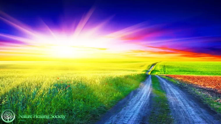 THE BEST GOOD MORNING MUSIC 528hz