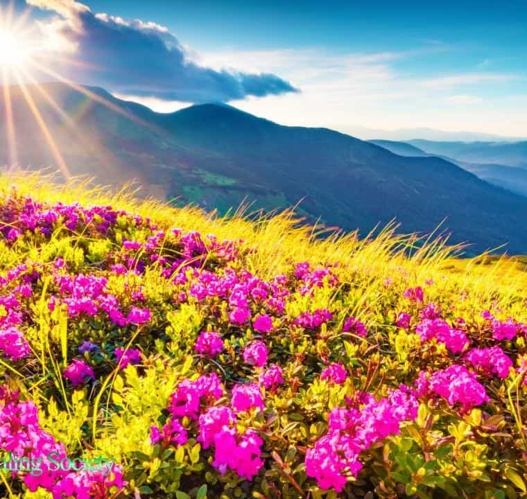 Wake Up Happy - Morning Relaxing Music 528Hz