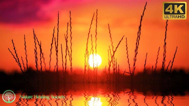 Start The Best Morning Ever 432Hz