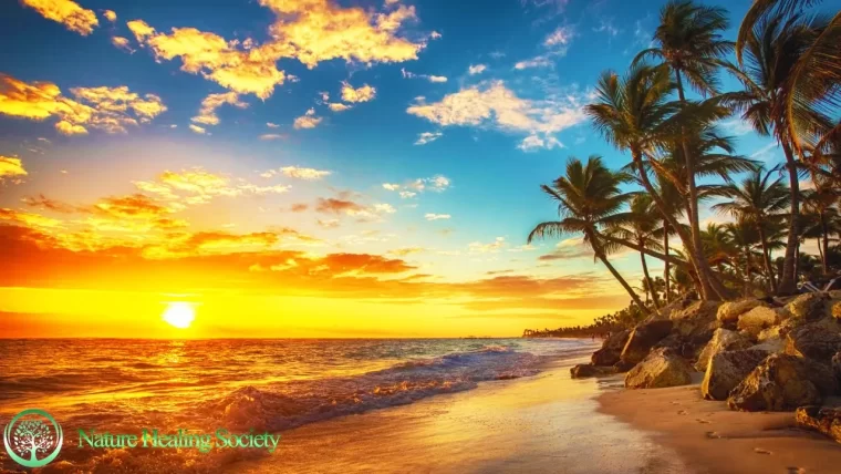 MORNING RELAXING MUSIC 528Hz