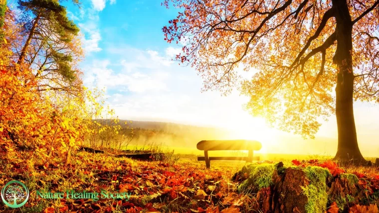 GOOD MORNING MEDITATION 528Hz