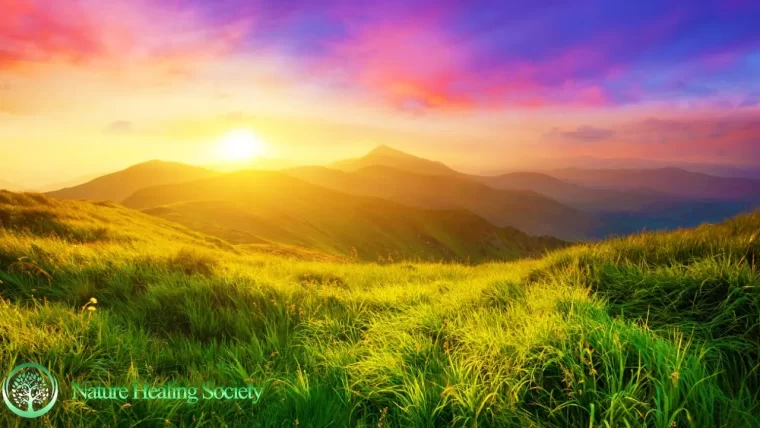 Start Your Day Music 528Hz
