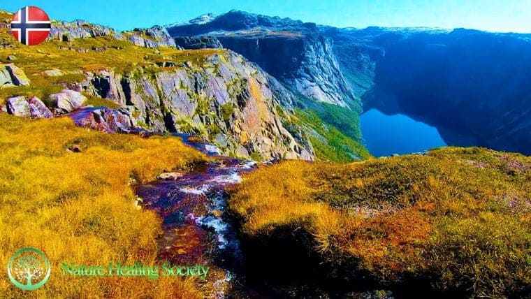 Relaxing Good Morning Music 528Hz